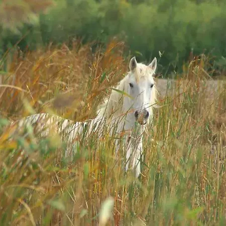 Appartement Double Vu