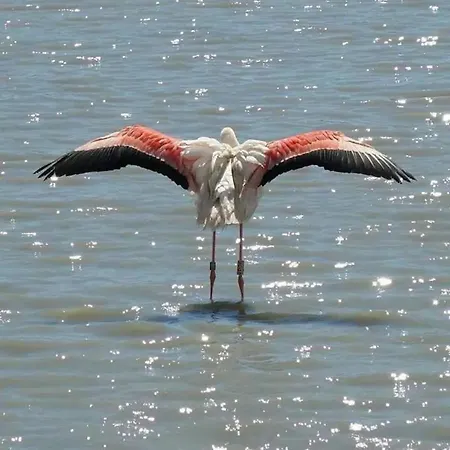 Double Vu Apartamento Le Grau-du-Roi