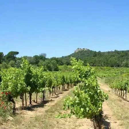 Appartement Double Vu Le Grau-du-Roi